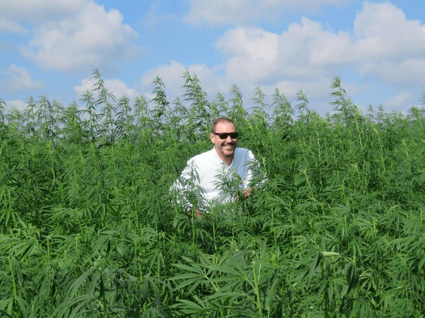 2021: A Year In Review For The Cannabis Industry